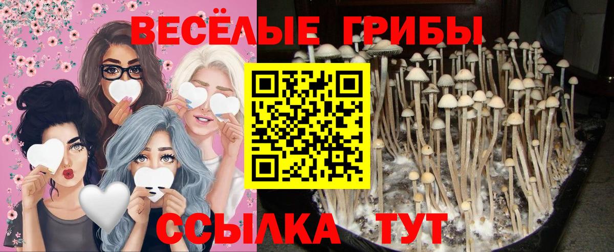 Псилоцибиновые грибы мухоморы  Галлюциногенные грибы прущие грибы  купить   Наро-Фоминск  Вход с VPN 